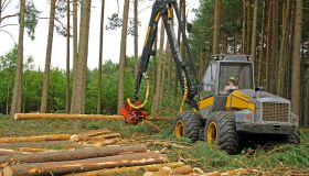 Coventry Site Clearing