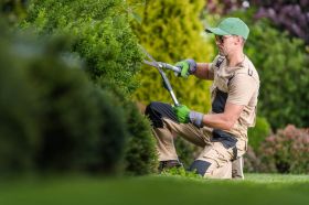 The Importance of Hedge Trimming