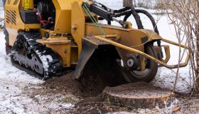 High Quality Stump Grinding Services