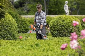 Expert Hedge Trimming Services