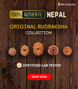 Eka Rudraksha