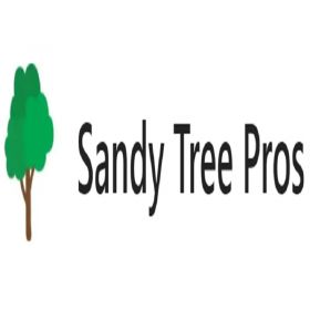 Sandy Tree Pros