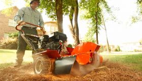 Wigan Stump Grinding