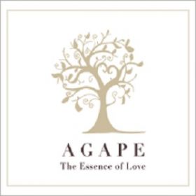 agape-studio