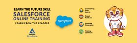 AlmaMate Info Tech - Best Salesforce Training in Noida