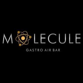 Molecule - Gastro Air Bar 