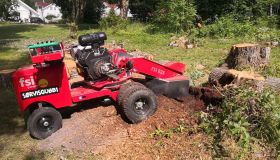 Leicester Stump Grinding