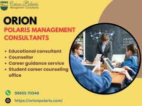 Orion-Polaris Management Consultants