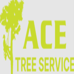 Ace Tree And Lawn