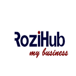 Rozihub-Online professional services