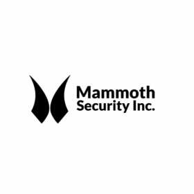 Mammoth Security Inc. New Haven