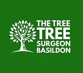 Basildon Tree Surgeon