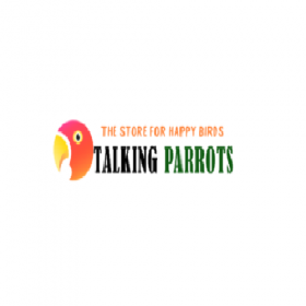 Casa Grey Parrots Farm