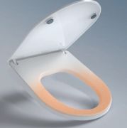 Dual Nozzle Heated Bidet Toilet Seat