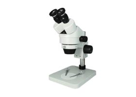 Stereoscopic Microscope