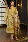 Pakistani Mehndi Dresses