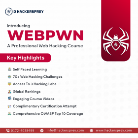 Professional web hacking course - WEBPWN