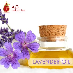 Lavender Oil Suppliers