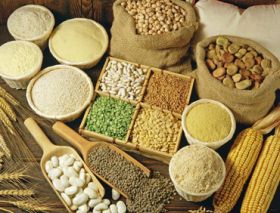 Pulses & Grains