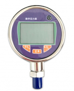 DY-YLB digital pressure gauge