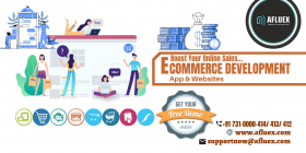 Ecommerce Software And Website Development Company