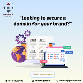 Domain Reg & Web Hosting