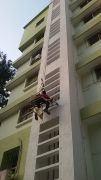 bird netting services in pune