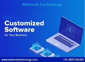 Custom Software Development Company in Meerut