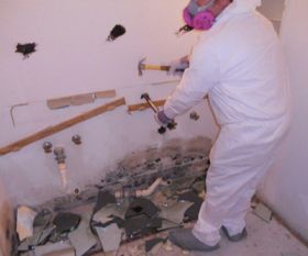 Mold Remediation