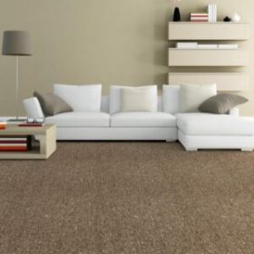 Wall to Wall Carpets