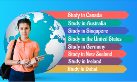 Study Overseas and Immigration Services