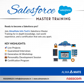 Salesforce Master Training