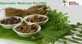 Ayurvedic medicine for kidney disease