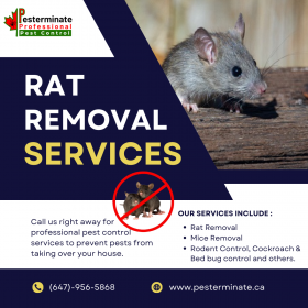 Rat control service