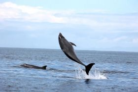 Shell Island Beach Tours