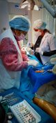 Tooth Extraction