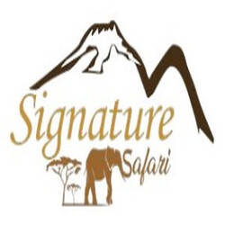 Signature Safari