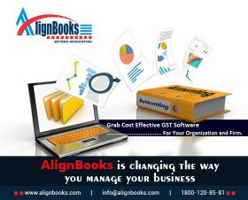 Online & Offline Accounting Software