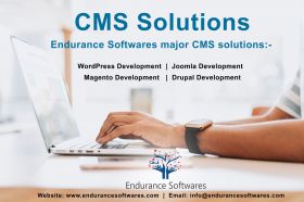 CMS Solutions  | CMS Services |Endurance Softwares