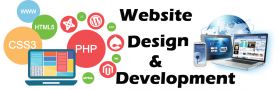 Website Design and Development Company in Vadodara