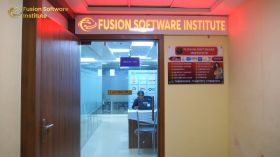 Fusion Software Institute 