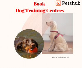 Dog Training Services - Petshub