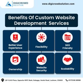 custom web & app development services