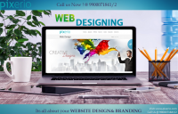 web design & developemnt