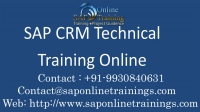 Sap CRM Online Training Course- Mumbai
