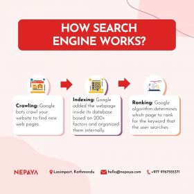 Search Engine Optimization