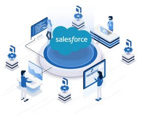 Salesforce Development Service