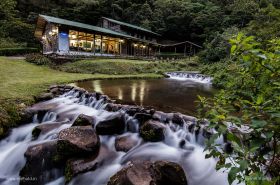 Costa Rica Wildlife and Macro Photography Tour
