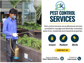  Pest Control In Vadodara - Termite Services