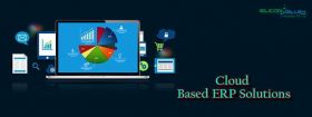 custom Accounting software development Services 